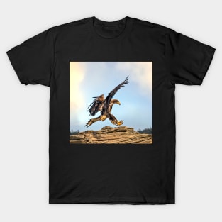 Juvenile Bald Eagle practicing its landing skills. T-Shirt